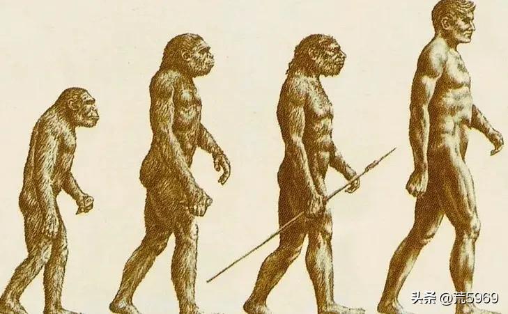 人类进化人_为什么会进化出人类_人类进化完了吗
