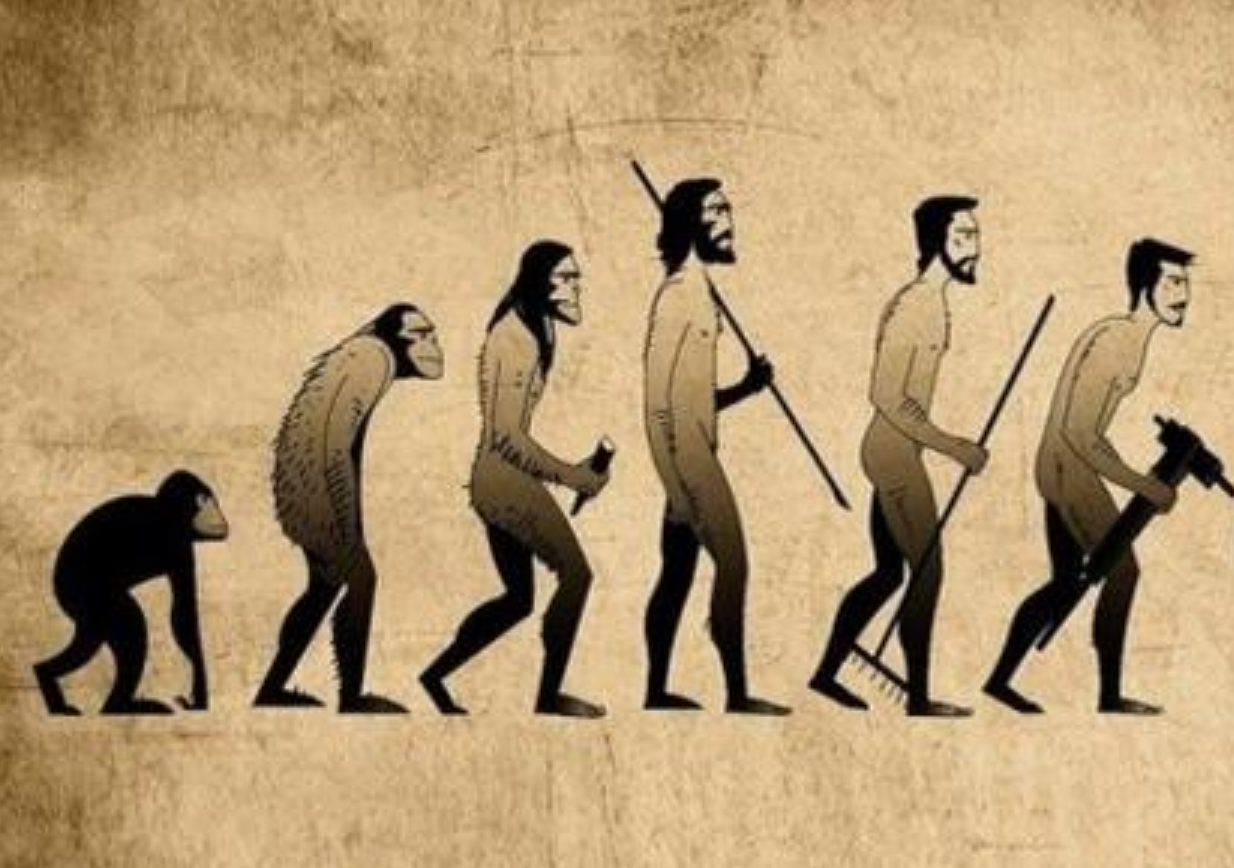 为什么会进化出人类_人类进化后会变成什么_人类进化完了吗